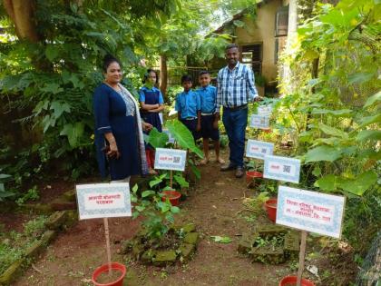 Zilla Parishad Center School of Kanhor created Bolki Parasbagh | कान्होरच्या जिल्हा परिषदेच्य केंद्र शाळेने साकारली बोलकी परसबाग