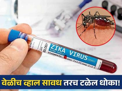 Zika Virus Rising Risk, Know the Symptoms and Prevention? | झिका व्हायरसचा वाढतोय धोका, जाणून घ्या याची लक्षणं आणि बचावाचा उपाय?