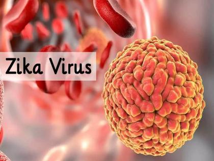 Zika Virus patient was found in Pune, a 67-year-old man from Bawdhan was infected | Zika Virus : पुण्यात झिकाचा रुग्ण आढळला, बावधनमधील ६७ वर्षीय पुरुषाला लागण