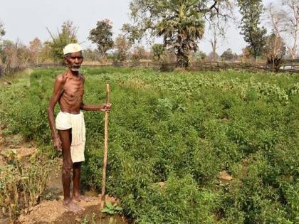 It is better to give up farming; No labor, no tractor! | शेती सोडून दिलेलीच बरी; मजूर मिळेना, ट्रॅक्टर परवडेना !