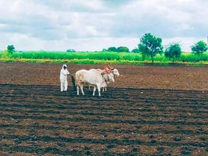 Agriculture Department appeals to farmers, sow only if there is 80 to 100 mm of rain | शेतकऱ्यांनो, ८० ते १०० मि.मी पाऊस पडला तरच करा पेरणी