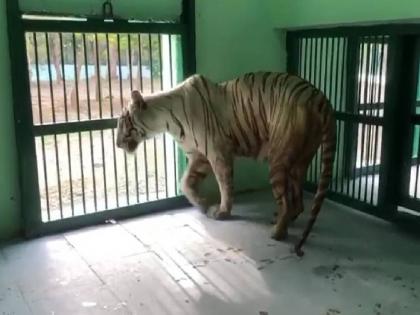 Zoo to be set up in Ratnagiri; Decision in the meeting in Vidhan Bhavan | रत्नागिरीत उभारलं जाणार प्राणीसंग्रहालय; विधान भवनातील बैठकीत निर्णय