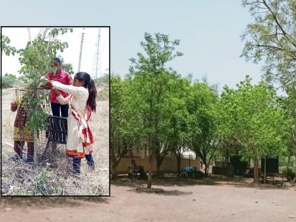 Students of a school in Sangli's Kulalwadi taking care of trees during summer vacation | Sangli: कौतुकास्पद! उन्हाळ्याच्या सुटीत विद्यार्थ्यांनी फुलवली सुमारे दहा एकर परिसरात वनराई 