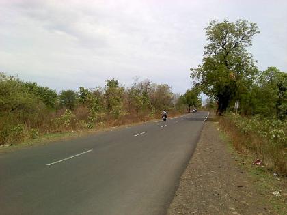 Nagpur-Katol highway four lane work stuck due to tiger corridor; Twelve and half km of work stopped | वाघांनी रोखला नागपूर-काटोल महामार्ग; साडेबारा किमीचे काम थांबले