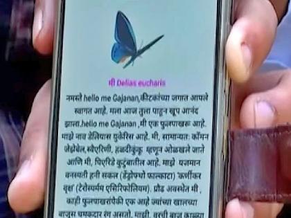 rtmnu has developed a mobile app named i am butterfly and a digital handbook to learn biodiversity | आता बोलणाऱ्या फुलपाखरांकडून जाणून घ्या रंगीबेरंगी जैवविविधता !