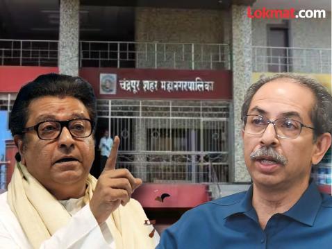 चंद्रपूरवरून ठाकरे बंधूंच्या एकीत मिठाचा खडा? मनसे-उद्धवसेना आमने-सामने; नेते भिडले, खडाजंगी!