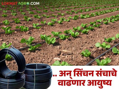 Remember these tips; your drip will last two to four years longer | न चुकता लक्षात ठेवा 'या' टिप्स; तुमचेही ठिबक चालेल दोन-चार वर्ष अधिक