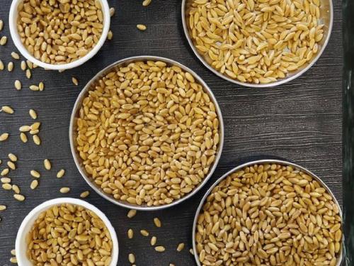 The feeling that wheat is getting in Dharashiv with Pune on Buddhist Purnima day? | बौद्धपौर्णिमेदिवशी पुण्यासह धाराशिवमध्ये गव्हाला मिळतोय असा भाव?