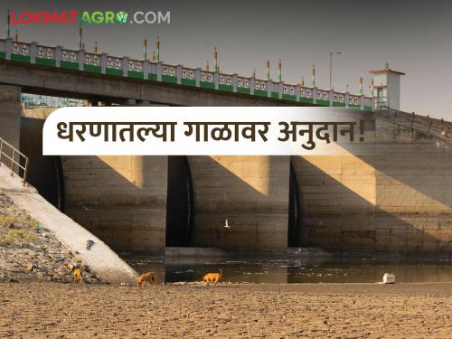 Carry silt from dams, also get grants; What is silt free dam scheme? | धरणातून गाळ घेऊन जा,अनुदानही मिळवा; काय आहे गाळमुक्त धरण योजना?