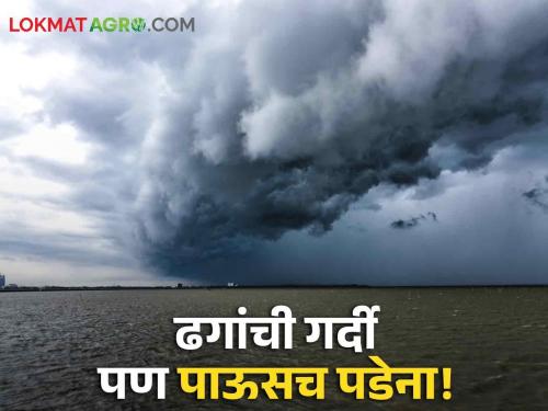 Just a crowd of clouds, the rain disappeared; Fear of losing crops | नुसतीच ढगांची गर्दी, पाऊस गायब; पेरणी वाया जाण्याची भीती