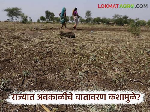Latest news Maharashtra rain Alert rainfall situation in Maharashtra be for next five days Read in detail | Maharashtra Rain Alert : महाराष्ट्रात पुढील पाच दिवस पावसाचे वातावरण कसे राहील? वाचा सविस्तर 