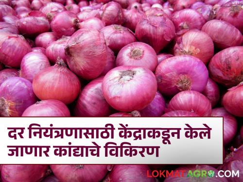 central government will stock onion to keep prices under control radiation processing | मोठी बातमी! दर नियंत्रणात ठेवण्यासाठी केंद्र सरकारकडून कांद्याचे विकिरण अन् साठवणूक