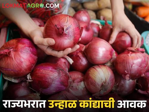 Latest News 03 april 2024 todays onion market price in nashik and maharashtra | Onion Market : नाशिक बाजार समितीत उन्हाळ कांद्याला काय भाव मिळाला? जाणून घ्या आजचे दर 