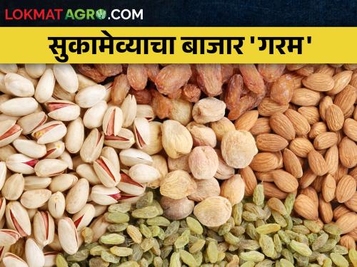 As soon as the rain increases, the dry fruit market is 'hot', cashews have to be sold for almonds per kilo.... | गारवा वाढताच सुकामेव्याचा बाजार 'गरम', काजू बदामाला द्यावे लागताहेत किलोमागे....