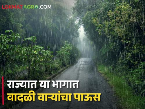 Weather Maharashtra: Stormy rain with thunder in these areas, which districts are alerted? | Maharashtra Weather News : या भागात ढगांच्या गडगडाटासह वादळी पाऊस, कोणत्या जिल्ह्यांना कुठला अलर्ट?