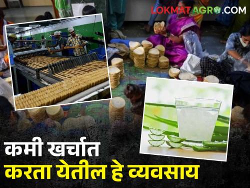 You can start these 5 small processing industries at low cost, you will also get subsidy from the government. | कमी खर्चात तुम्हाला सुरु करता येतील हे ५ लघु प्रक्रीया उद्योग, सरकारचेही मिळेल अनुदान..