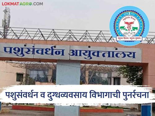 Reinventing Animal Husbandry! Approval of 'Animal Husbandry, Dairying and Entertainment Department'; Decision in cabinet meeting | पशुसंवर्धनची पुनर्रचना! 'पशुसंवर्धन, दुग्धव्यवसाय व मस्त्यव्यवसाय विभागा'स मान्यता; मंत्रिमंडळ बैठकीत निर्णय