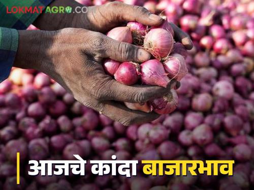 Latest News 07 may 2024 todays Onion market price in lasalgaon market yard | Onion Market : उन्हाळ कांदा दरात पुन्हा घसरण, लासलगाव बाजार समितीत आज काय भाव मिळाला? 