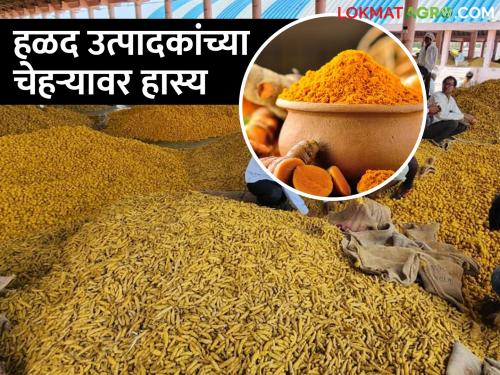 Record yield of 40 quintals of turmeric per acre, satisfaction on the faces of farmers as the price is good in the market | एकरभरात ४० क्विंटल हळदीचे विक्रमी उत्पन्न, बाजारात भाव चांगला मिळत असल्याने शेतकरी सुखावला