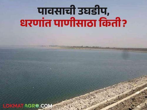 Latest News Maharashtra Dam Storage Three dams in Mumbai are 100 percent, read water storage of dams in state see details | Maharashtra Dam Storage : मुंबईतील तीन धरणे 100 टक्के, वाचा इतर विभागातील धरणांचा पाणीसाठा