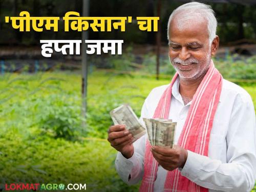 PM Kisan 18th installment of PM Kisan deposited in farmers account | PM Kisan : खूशखबर! पीएम किसानचा १८वा हप्ता शेतकऱ्यांच्या खात्यावर जमा