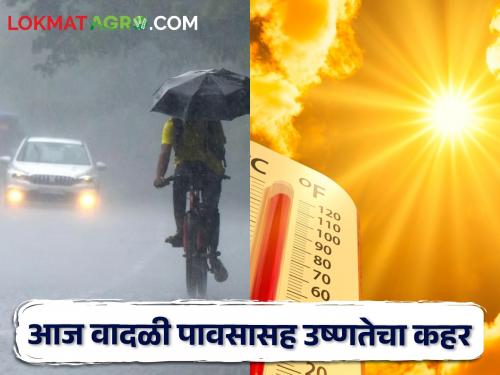 Weather Alert: Stormy rain with heat today, what warning has been given in which city? | Weather Alert: आज वादळी पावसासह उष्णतेचा कहर, कोणत्या शहरात काय दिलाय इशारा?