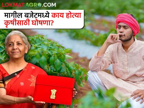 Budget 2024: What were the announcements for agriculture last year? | अर्थसंकल्प २०२४: मागच्या वर्षी कृषीसाठी काय काय झाल्या घोषणा?