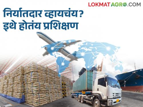 Want to export your own grown agricultural produce Training is happening here | स्वतः पिकवलेला कृषीमाल निर्यात करायचाय? इथे होतंय प्रशिक्षण