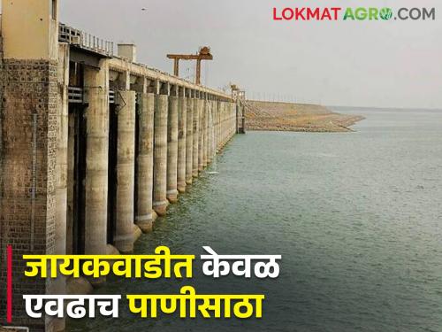 The shortage is severe! Only this much water is left in Jayakwadi Dam | टंचाई झळा तीव्र! जायकवाडी धरणात आता उरलंय केवळ एवढं पाणी