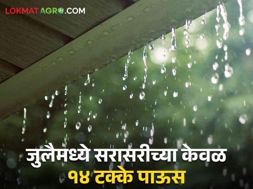 Maharashtra Rain updates monsoon weather More than average in June and 14 percent of average in July | Maharashtra Rain : राज्यात जून मध्ये सरासरीपेक्षा जास्त तर जुलैमध्ये सरासरीच्या १४ टक्के पाऊस!