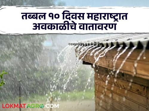 Weather Updates next ten days hailstorme and hravy rain inn maharashtra weather updates | Weather Updates : 'पुढचे दहा दिवस महाराष्ट्रात अवकाळी पावसाचे वातावरण'