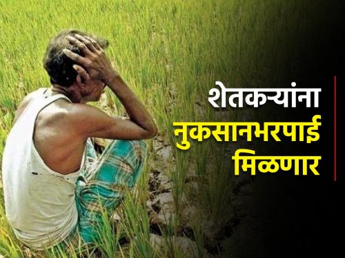 Farmers will get compensation up to 3 hectares, instructions to submit Panchnama immediately | शेतकऱ्यांना ३ हेक्टरपर्यंत मिळणार अवकाळीची नुकसानभरपाई, तातडीने पंचनामे सादर करण्याचे निर्देश