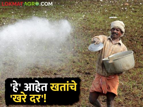 How much increased the prices of chemical fertilizers? What are the real rates? Know in detail | किती वाढल्या रासायनिक खतांच्या किंमती? किती आहेत खरे दर? जाणून घ्या सविस्तर