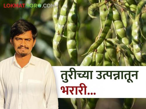 chhatrapati sambhajinagar young farmer success story fron tur cotton crop | कपाशीला फाटा देत तुरीची लागवड करून लाखोंची कमाई करणाऱ्या तरूणाची यशोगाथा