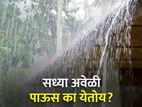 Why unseasonal rain is falling in Konkan, Madhya Maharashtra? | कोकणात, मध्य महाराष्ट्रात का पडतोय अवेळी पाऊस?