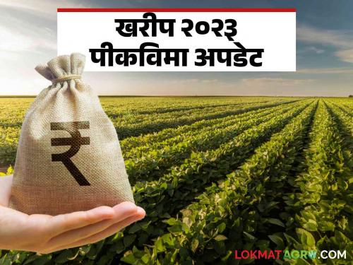 Crop Insurance How much amount of crop insurance is left with the insurance company for the last crop? | Crop Insurance : मागच्या खरिपातील पीक विम्याची किती रक्कम विमा कंपनीकडे बाकी?