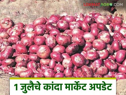 Latest News Kanda Market See onion market price per quintal on July 1st, Agriculture Day Read in detail | Kanda Market : 1 जुलै रोजी कृषी दिनाला कांद्याला क्विंटलमागे काय दर मिळाला? वाचा सविस्तर 