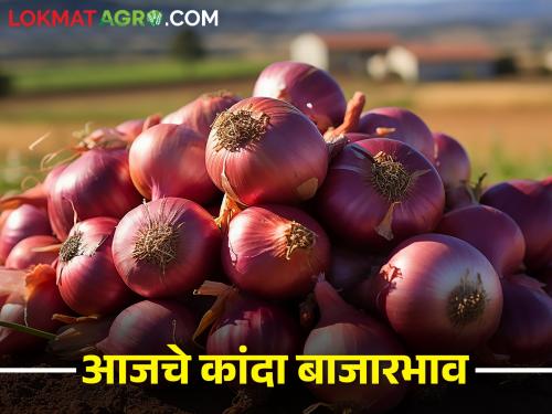 Latest News 10 Feb 2024 Todays Onion Market Price In maharashtra | लासलगाव बाजारसमितीत कांद्याची आवक किती झाली? जाणून घ्या आजचे कांदा बाजारभाव