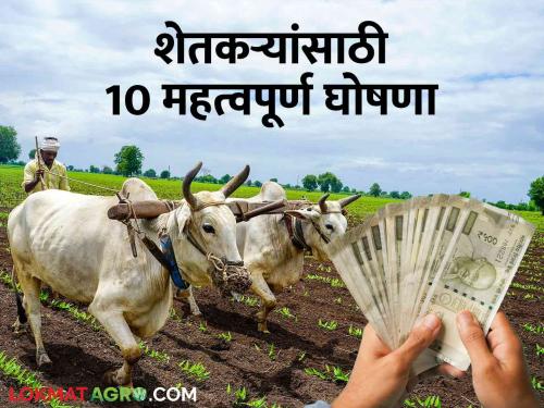 Latest News 10 Big Announcements for Farmers from maharashtra Budget 2024, Read in Detail  | Maharashtra Budget 2024 : राज्याच्या बजेटमधून शेतकऱ्यांसाठी 10 मोठ्या घोषणा, वाचा सविस्तर 