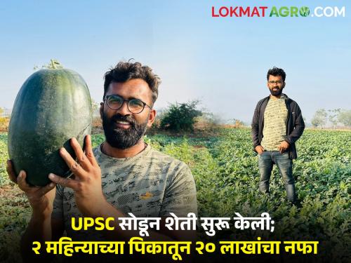 Agricos vinod navale youth farmer returns home Pune after leaving UPSC 20 lakhs earned Kalingad two months | UPSCची तयारी सोडून शेती केली; दिल्लीतून घरी आलेल्या तरूणाने २ महिन्यात कमावले २० लाख