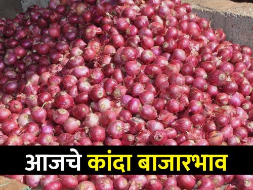 Latest News Todays kanda Market price in ramtek market yard check here details | Kanda Bajarbhav : रामेटक बाजारात उन्हाळ कांद्याला काय भाव? वाचा आजचे बाजारभाव