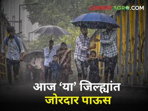 Today's Rain Updates Heavy rain in the state today Orange alert for rain in 'these' districts | Today's Rain Updates : आज राज्यात जोरदार पाऊस! 'या' जिल्ह्यांना पावसाचा ऑरेंज अलर्ट