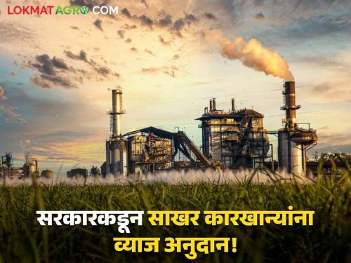 Sugar Factory State government favors factories! 14 crore interest subsidy for 84 sugar mills | Sugar Factory : राज्य सरकार कारखान्यांवर मेहेरबान! ८४ साखर कारखान्यांसाठी १४ कोटींचे व्याज अनुदान