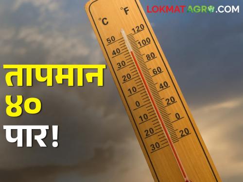 Temperature above 40! Summer heat is increasing, what is the temperature in the state today? | तापमान ४० पार!  उन्हाच्या झळा वाढताहेत, काय आहे आज राज्यात तापमान?