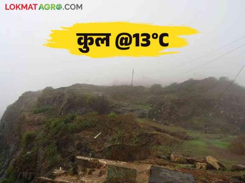 Maharashtra Weather : In the state the temperature was lower than Mahabaleshwar in this district | Maharashtra Weather : राज्यात महाबळेश्वर पेक्षाही कमी तापमान नोंदविले या जिल्ह्यात