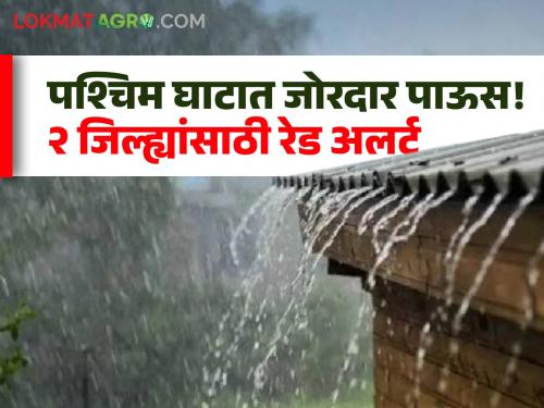 Maharashtra Rain Updates Heavy rain in Konkan and Western Ghats; Red alert issued in these 2 districts | Maharashtra Rain Updates : कोकण अन् पश्चिम घाटात जोरदार पाऊस; या २ जिल्ह्यांत रेड अलर्ट जारी