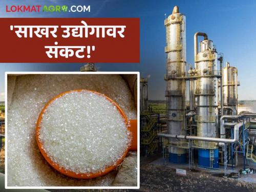 Crisis on sugar industry due to stocks, cost of production; Appeal to central government to take steps | साठा, उत्पादन खर्चामुळे साखर उद्योगावर संकट; पावले उचलण्याचे केंद्र सरकारला आवाहन