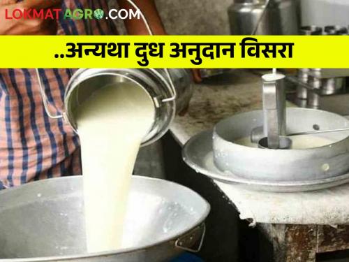 The pain of milk producing farmers increased, they will miss out on Rs 5 subsidy due to complicated conditions | दूध उत्पादक शेतकऱ्यांचा वाढला मनस्ताप, किचकट अटींमुळे ५ रुपये अनुदानाला मुकणार