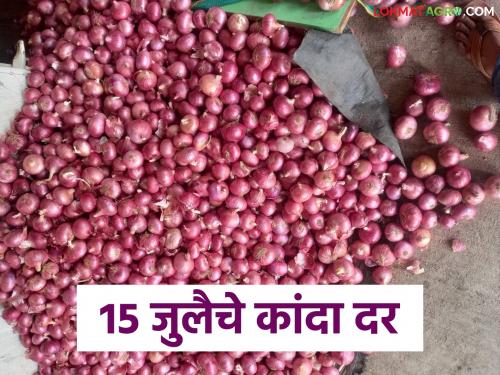 Latest News Kanda Market Lasalgaon onion market prices up down see all market kanda bajarbhav | Kanda Market : लासलगाव कांदा मार्केटमध्ये दरात चढ- उतार सुरूच, वाचा काय मिळतोय दर? 