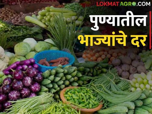 Vegetables Rates Pune What is price leafy vegetables and fruits today in Pune? | Vegetables Rates Pune : पुण्यात आज पालेभाज्या अन् फळभाज्यांना किती मिळाला दर?